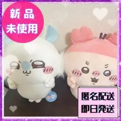 古本屋　モモンガ　BIGぬいぐるみ