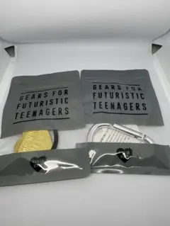 Item thumbnail for item 41fca0fa-4c05-47c4-aba8-ceca4631fc86