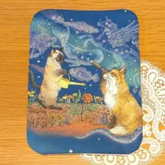 ふわふわガーゼハンカチ⭐️おとぎの国の猫と仲間たち☆可愛い猫たち
