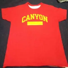 80’s 美品 チャンピオン リバーシブル Tシャツ