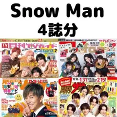 月刊TVガイド ザテレビジョン TVnavi Snow Man 切り抜き