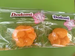 【チャーム】Dodomi スクイーズ サクサク 肉球 非売品 ドドミ 2個セット