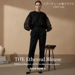 Item thumbnail for item 39426024-4ba9-484c-a420-c26c438f595c