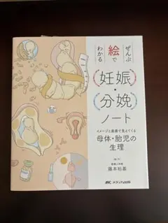 ひろちゃんページ　産科勉強セット サマーセール｜日本助産師会出版