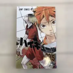 ハイキュー!! 33.5巻音駒番外編！！