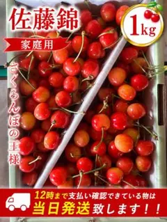 直送 着色良品 2Lサイズ多め！山形県産 佐藤錦 訳有1kg さくらんぼ