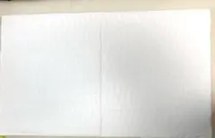 【日本製・西川】ローズラジカル敷布団のサムネイル