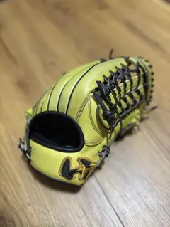ワールドペガサス　キムハソンモデル
