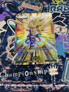 ドラゴンボール　孫悟空Jr.　リーダーパラレル