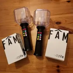 タイムレス　FAM ペンライト 2個セット