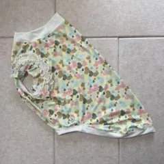 Item thumbnail for item 733a1c4d-728a-460c-8a25-2ed73c49ea55