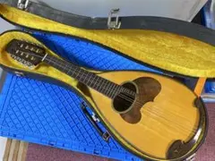2025年最新】マンドリン M-30の人気アイテム - メルカリ