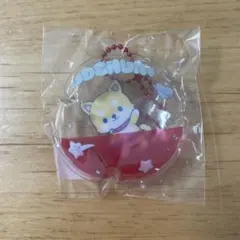 新品未開封】JOCHUM JO1 まめちぃ カプセルトイ 豆原一成 - メルカリ