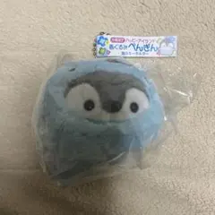 ぺんぎんのぬいぐるみ 海のキーホルダー