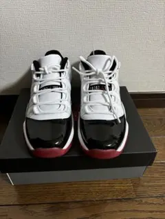 Item thumbnail for item 48d6350e-c0a4-45db-a00d-9ada2b7a9598