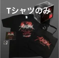 INTO THE PURGATORY Tシャツ　メンズ　L