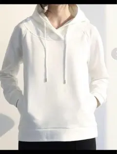【新品未使用】ドレスレイブ　パーカー DRESSLAVE（ドレスレイブ） パーカー sheer hoodie(シアーフーディ