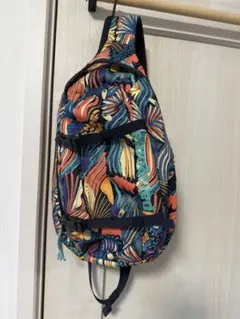 【まめすけ様専用激レア品】JOYP パタゴニア　アトムスリング　8L