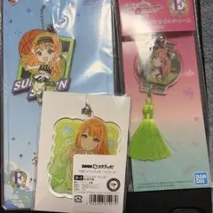 紫雲清夏セット