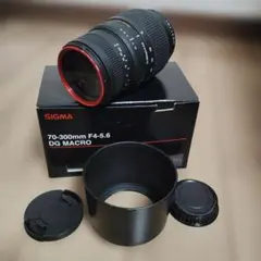 SIGMA 70-300mm F4-5.6 DG MACRO レンズのサムネイル