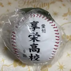 高校野球100回記念大会 金足農業対大阪桐蔭 決勝戦記念野球ボール