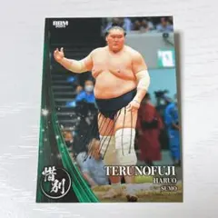 2025年最新】照ノ富士 カードの人気アイテム - メルカリ