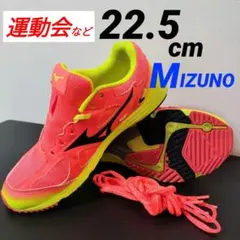 Item thumbnail for item 8f763082-3395-44de-b538-26b193893f9b