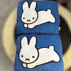 Item thumbnail for item 94adf49e-42e4-44fe-897f-cd5652a61804