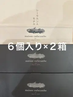 メゾンシーラカンス　シーラカンスモナカ　６個入り　２箱　もなか　仙台　和菓子のサムネイル