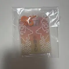 iLiFE! Kアリーナ MEGAiLiFE くじ 小熊まむ