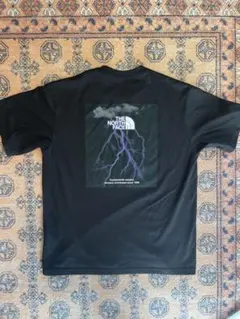 THE NORTH FACE ショートスリーブTNFライトニングティー