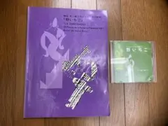即興のルンバ 瀬田彰編 フラメンコギター曲集IV 即興のルンバ 瀬田彰編 フラメンコギター曲集IV - メルカリ