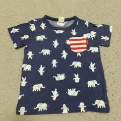 Item thumbnail for item 6e0def6a-9d91-4b12-98f5-fd1ff8ac7a70