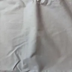 CHECK&STRIPE海のブロード　ライトブルーグレー　2.0m