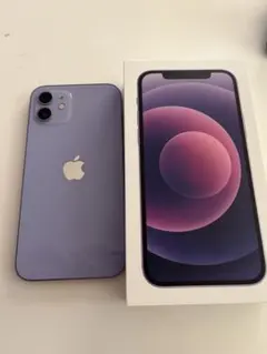 Apple iPhone 12 青 256GB 価格調整有り！ - メルカリ
