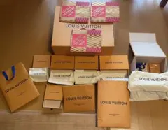 LOUIS VUITTON ショップ袋