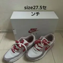 NIKE AIR MAX90 VALENTINE（W size27.5
