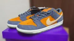 Nike Dunk Low Pro 28.5cm