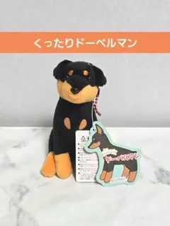 2025年最新】ドーベルマン ぬいぐるみの人気アイテム - メルカリ