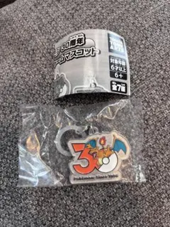ポケモン 30周年 メタルチャームマスコット　リザードン
