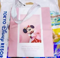 未使用タグ付き　ミニー ミッキー　イマジニング トートバッグ ベリミニ