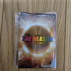 【楓ちゃんさま専用】EXILE THE REASON ネックストラップパス