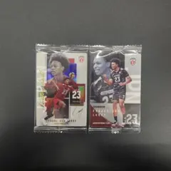 バレーボール男子日本代表 エバデダンラリー トレーディングカード 2枚セット
