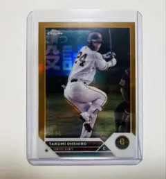 Item thumbnail for item 010fbe08-09b5-4a34-87cd-85d8d7b01c1d