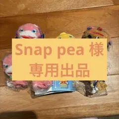 Snap pea様　専用出品