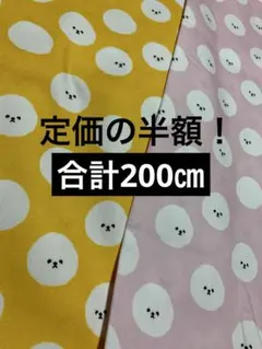 定価の半額！　ビションフリーゼ 2色セット