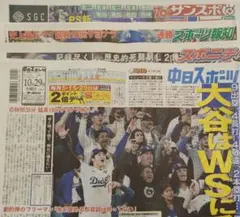 スポーツ新聞 記念グッズ