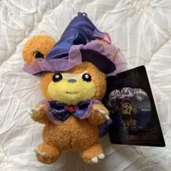 ポケモンセンター　ヒメグマ　マスコット　ハロウィン2025 ポケセン