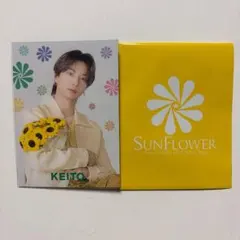 SUNFLOWER 木村慧人 フォトカード
