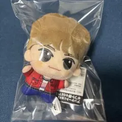 2025年最新】Riize ウンソク ぬいぐるみの人気アイテム - メルカリ